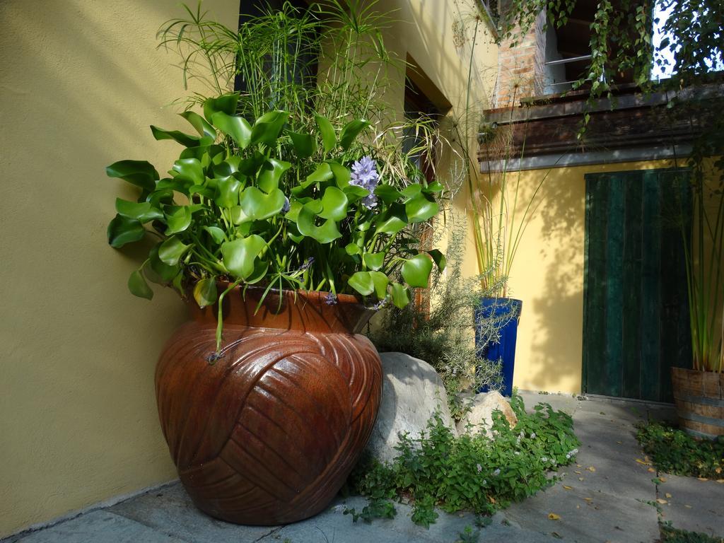 Agriturismo Casa De Colores Moretta 외부 사진