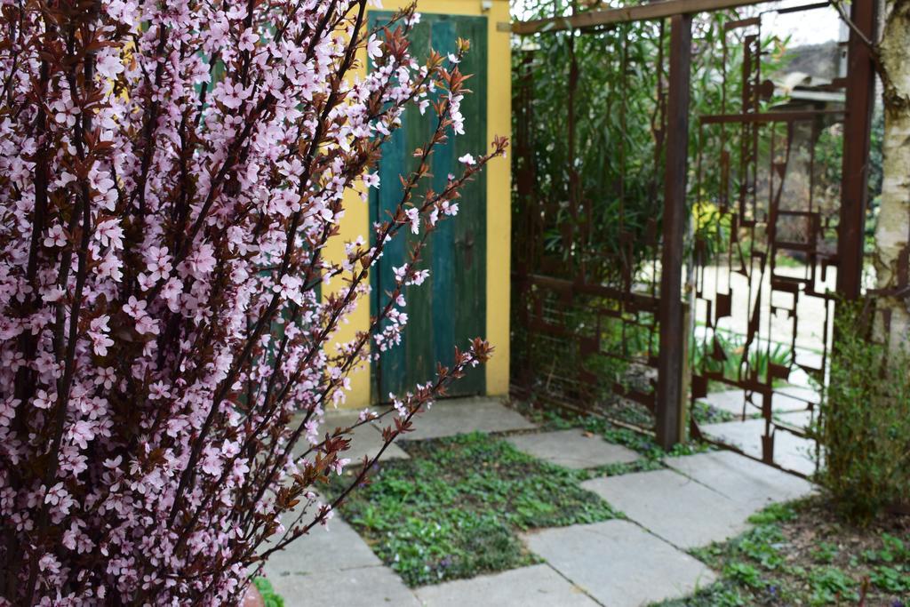 Agriturismo Casa De Colores Moretta 외부 사진